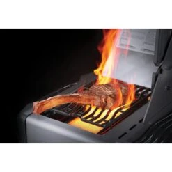 Napoleon Gasgrill Prestige 500 Edelstahl -Günstiges Grill Geschäft Napoleon Gasgrill Prestige 500 Edelstahl@@9ggfen0s 7