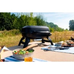 Napoleon Gasgrill TRAVELQ 240 30 Napoleon Gasgrill TRAVELQ 240 -Günstiges Grill Geschäft Napoleon Gasgrill TRAVELQ 240@@1872821 13