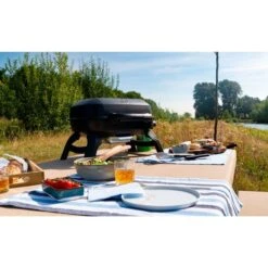 Napoleon Gasgrill TRAVELQ 240 31 Napoleon Gasgrill TRAVELQ 240 -Günstiges Grill Geschäft Napoleon Gasgrill TRAVELQ 240@@1872821 14