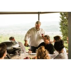 Napoleon Gasgrill TravelQ PRO285 31 Napoleon Gasgrill TravelQ PRO285 -Günstiges Grill Geschäft Napoleon Gasgrill TravelQ PRO285@@9ggfen0o 14