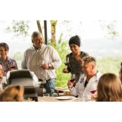 Napoleon Gasgrill TravelQ PRO285 33 Napoleon Gasgrill TravelQ PRO285 -Günstiges Grill Geschäft Napoleon Gasgrill TravelQ PRO285@@9ggfen0o 16