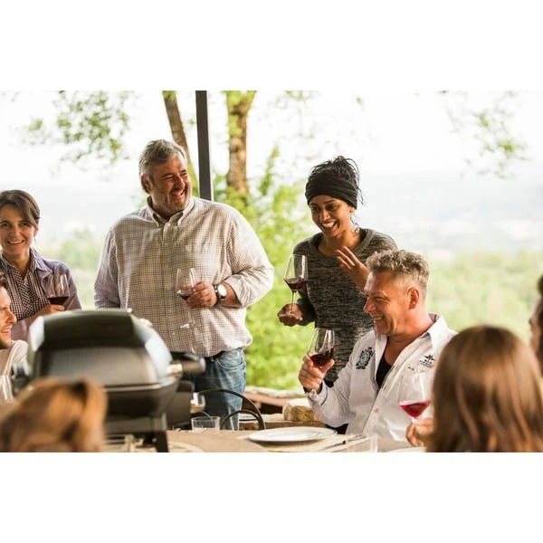 Napoleon Gasgrill TravelQ PRO285 16 Napoleon Gasgrill TravelQ PRO285 – Bild 16