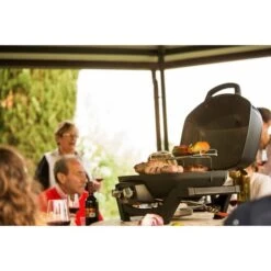 Napoleon Gasgrill TravelQ PRO285 34 Napoleon Gasgrill TravelQ PRO285 -Günstiges Grill Geschäft Napoleon Gasgrill TravelQ PRO285@@9ggfen0o 17