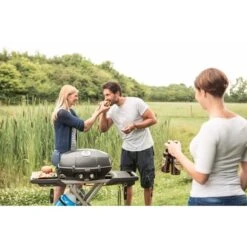 Napoleon Gasgrill TravelQ PRO285X Mit Klappwagen -Günstiges Grill Geschäft Napoleon Gasgrill TravelQ PRO285X mit Klappwagen@@9ggfen0n 9