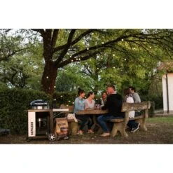Napoleon Holzkohlegrill PRO22K, Im Rollwagen -Günstiges Grill Geschäft Napoleon Holzkohlegrill PRO22K im Rollwagen@@9ggffn01 13