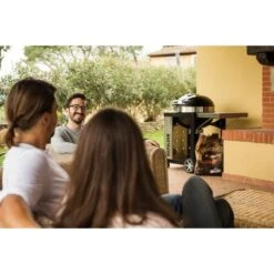 Napoleon Holzkohlegrill PRO22K, Im Rollwagen -Günstiges Grill Geschäft Napoleon Holzkohlegrill PRO22K im Rollwagen@@9ggffn01 16