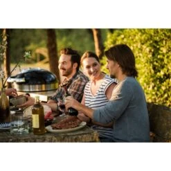 Napoleon Holzkohlegrill PRO22K, Im Rollwagen -Günstiges Grill Geschäft Napoleon Holzkohlegrill PRO22K im Rollwagen@@9ggffn01 19