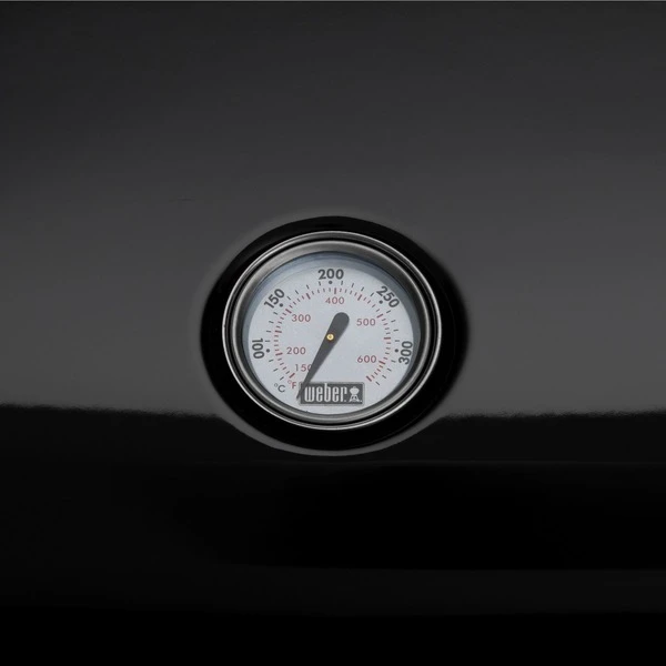 Weber Lumin Elektrogrill 5 Weber Lumin Elektrogrill – Bild 5