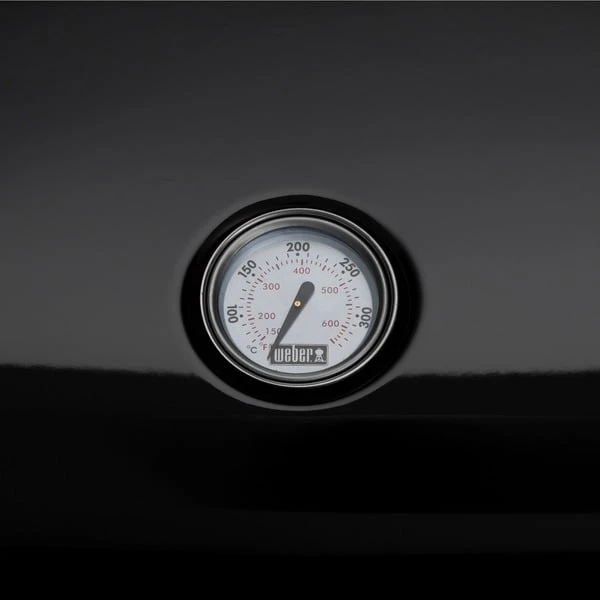 Weber Lumin Elektrogrill Mit Stand 4 Weber Lumin Elektrogrill Mit Stand – Bild 4