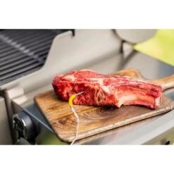 Weber IGrill Pro Messfühler Für Grillgut, Thermometer 28 Weber IGrill Pro Messfühler Für Grillgut, Thermometer -Günstiges Grill Geschäft Weber iGrill Pro Messf hler f r Grillgut Thermometer@@1303168 8